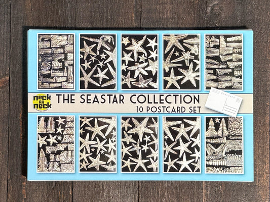 Antique Seastar Scientific Illustrations Postcards - Set of 10