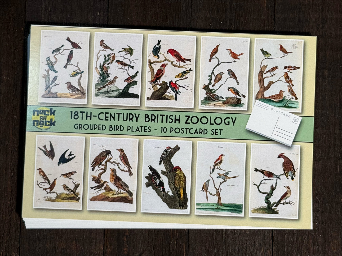 18th-Century British Bird Postcards - Set of 10