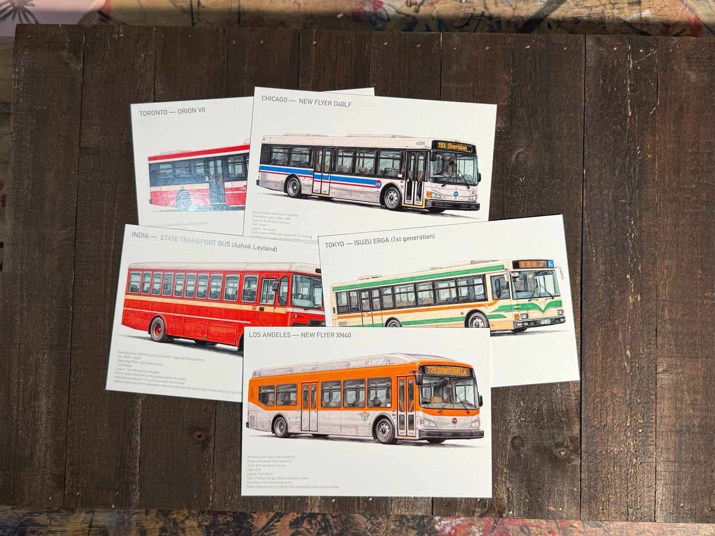 City Buses from Around the World Postcards - Set of 15