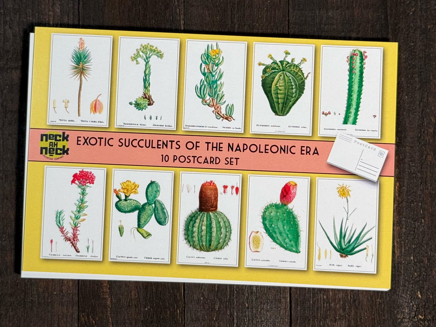 Cacti and Succulent Postcards - Set of 10