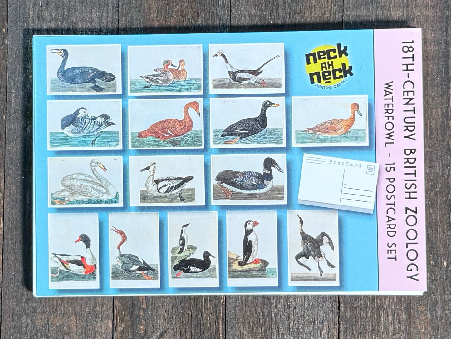18th Century British Waterfowl Postcards - Set of 15