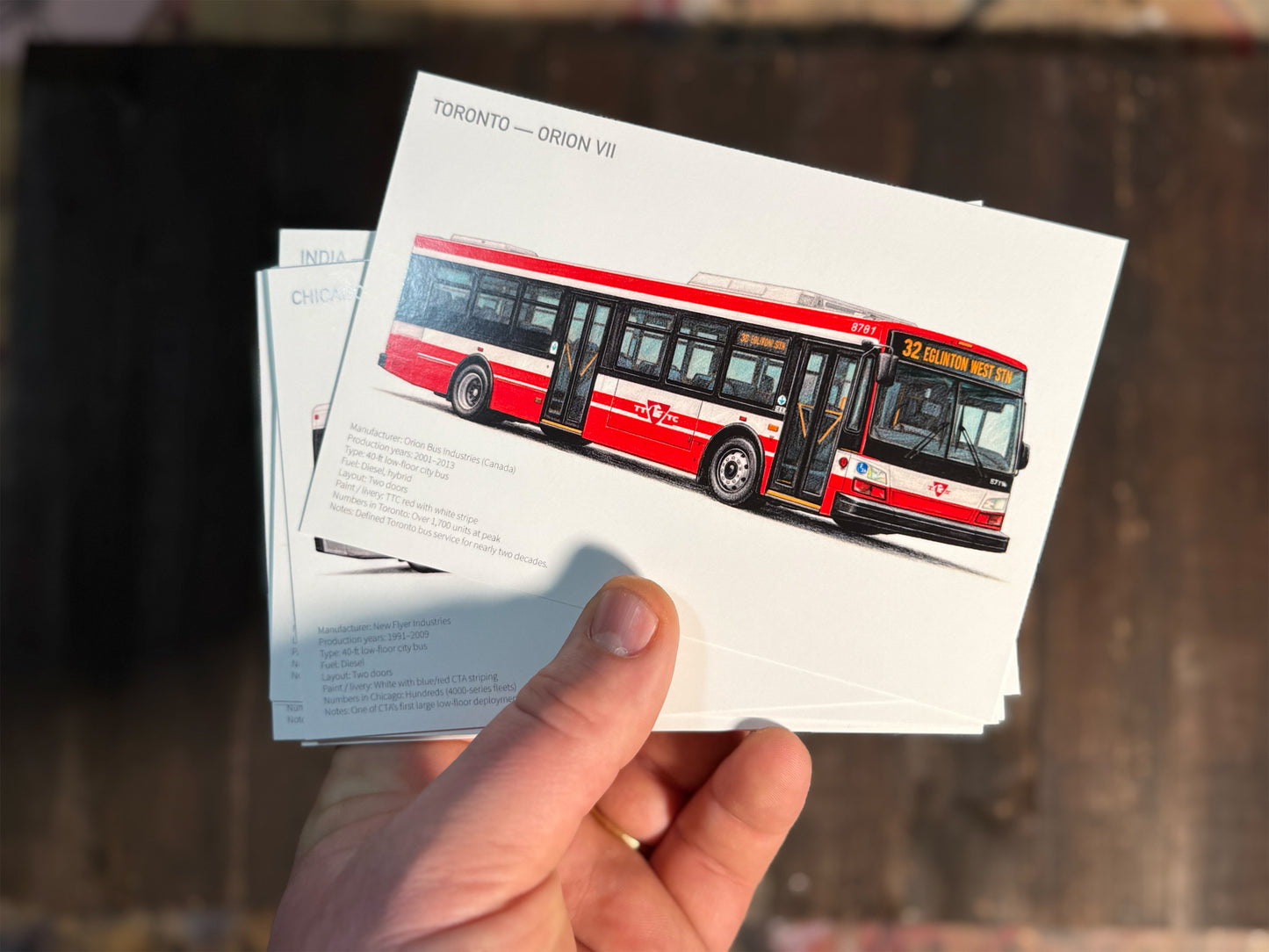 City Buses from Around the World Postcards - Set of 15