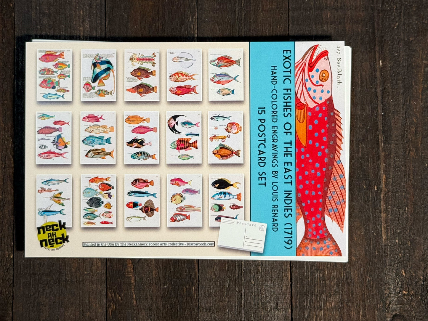 Exotic Fish Art Postcards - Set of 15