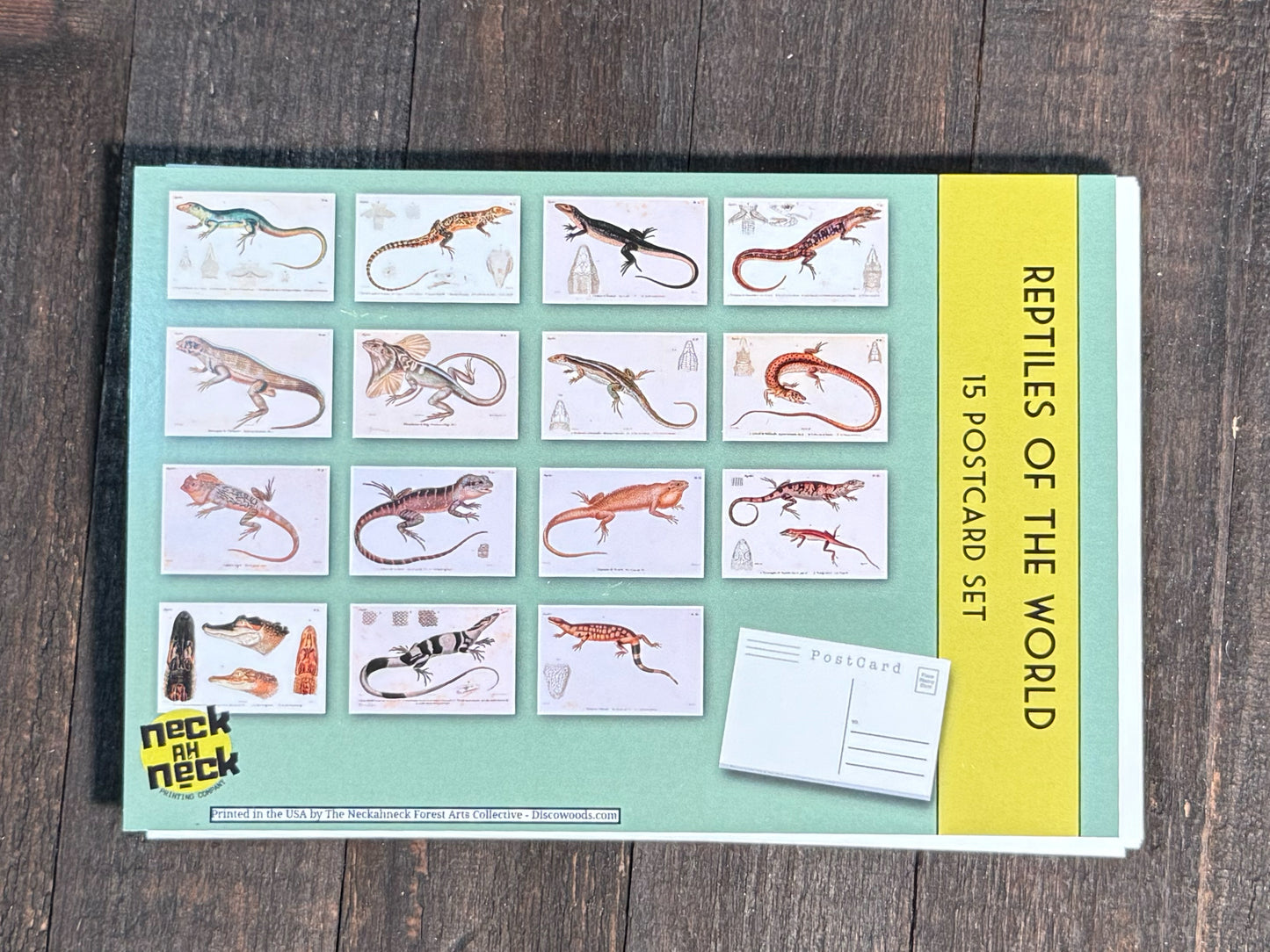 Reptiles and Lizards Postcards - Set of 15