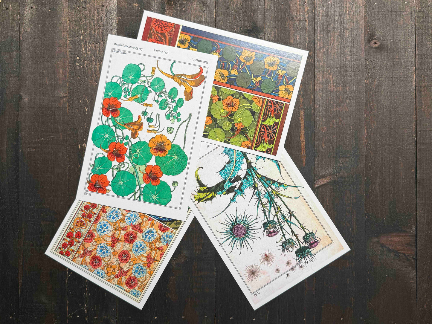 Eugène Grasset Ornamentals Postcards -  Set of 15