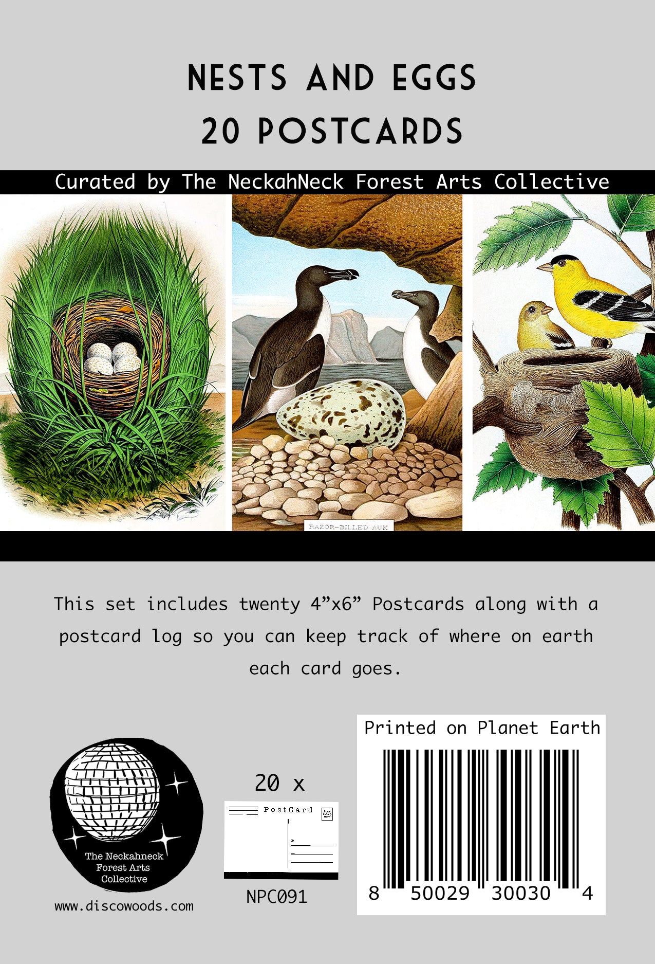 Vintage Nests and Eggs Postcards - Set of 20