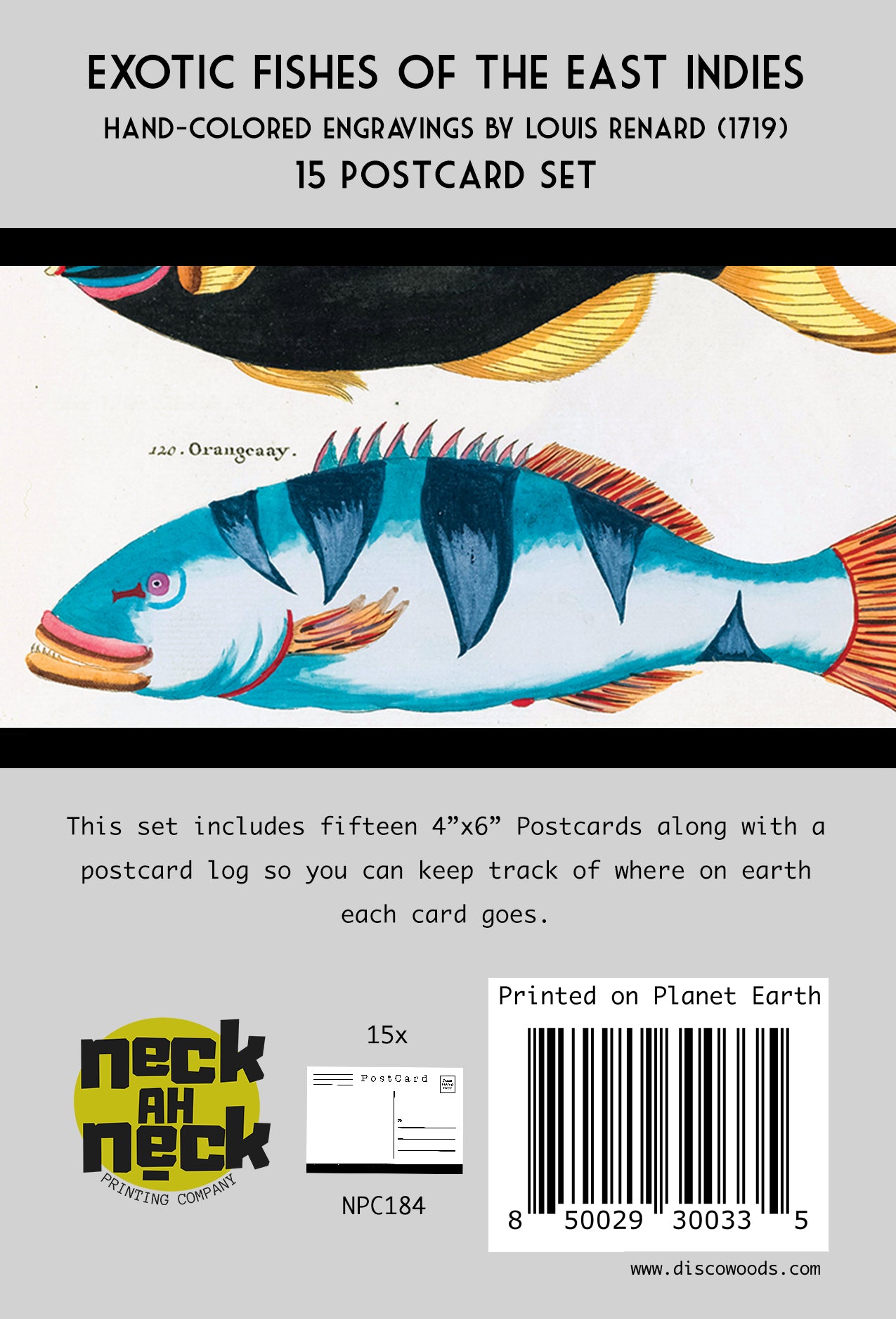 Exotic Fish Art Postcards - Set of 15
