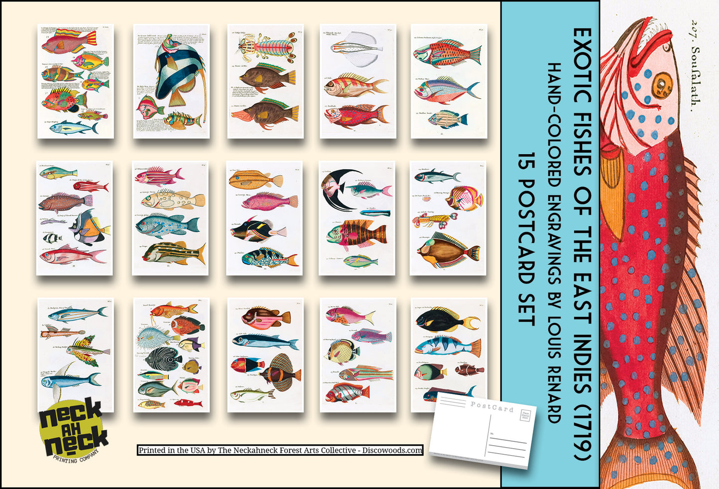 Exotic Fish Art Postcards - Set of 15