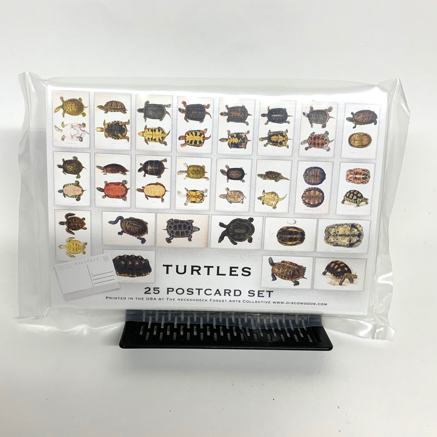 Turtle Illustrations Postcards- Set of 25
