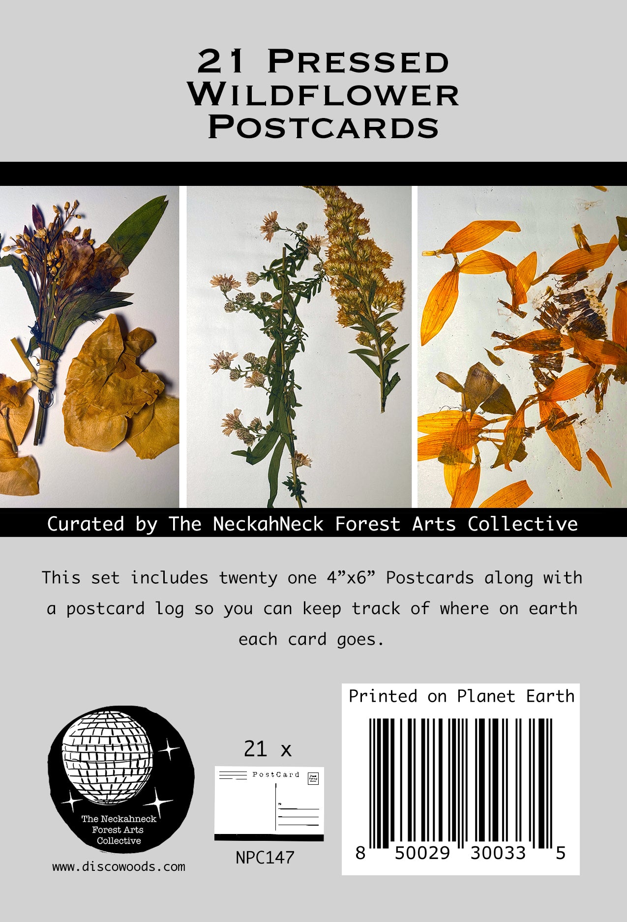 Pressed Wildflower Postcards – Set of 21