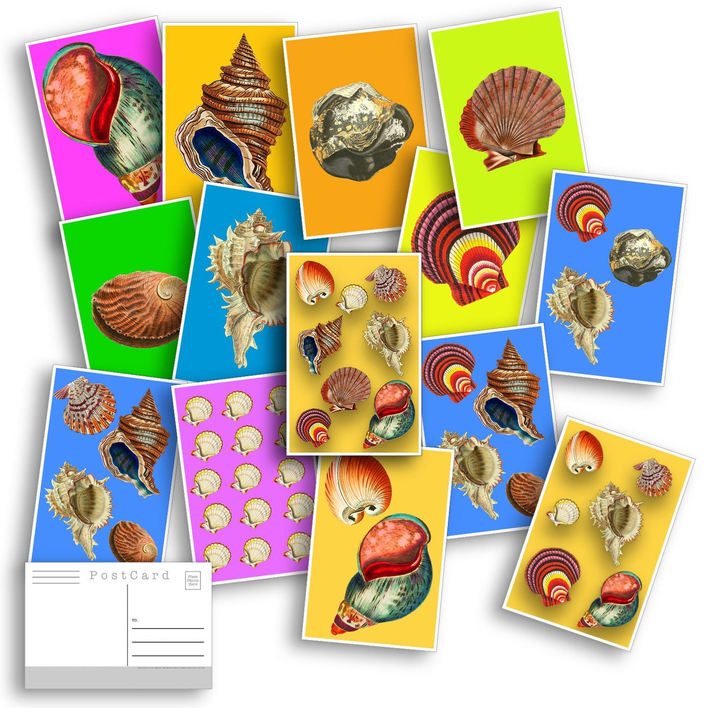 Seashell Postcard Set 20 Seashell Post Cards - Outdoors - Nature - Collage - Wall Art - Scrapbook