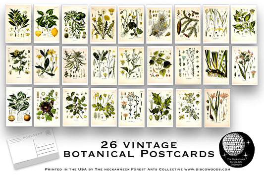 Botanical Postcard Set - Set of 26 Postcards - Vintage - Nature - Scrapbooking Post Cards - plant drawings - Natural Wonders