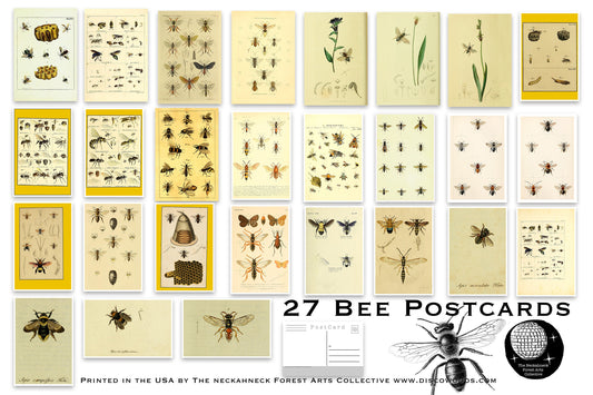 Bees Postcards - Set of 27