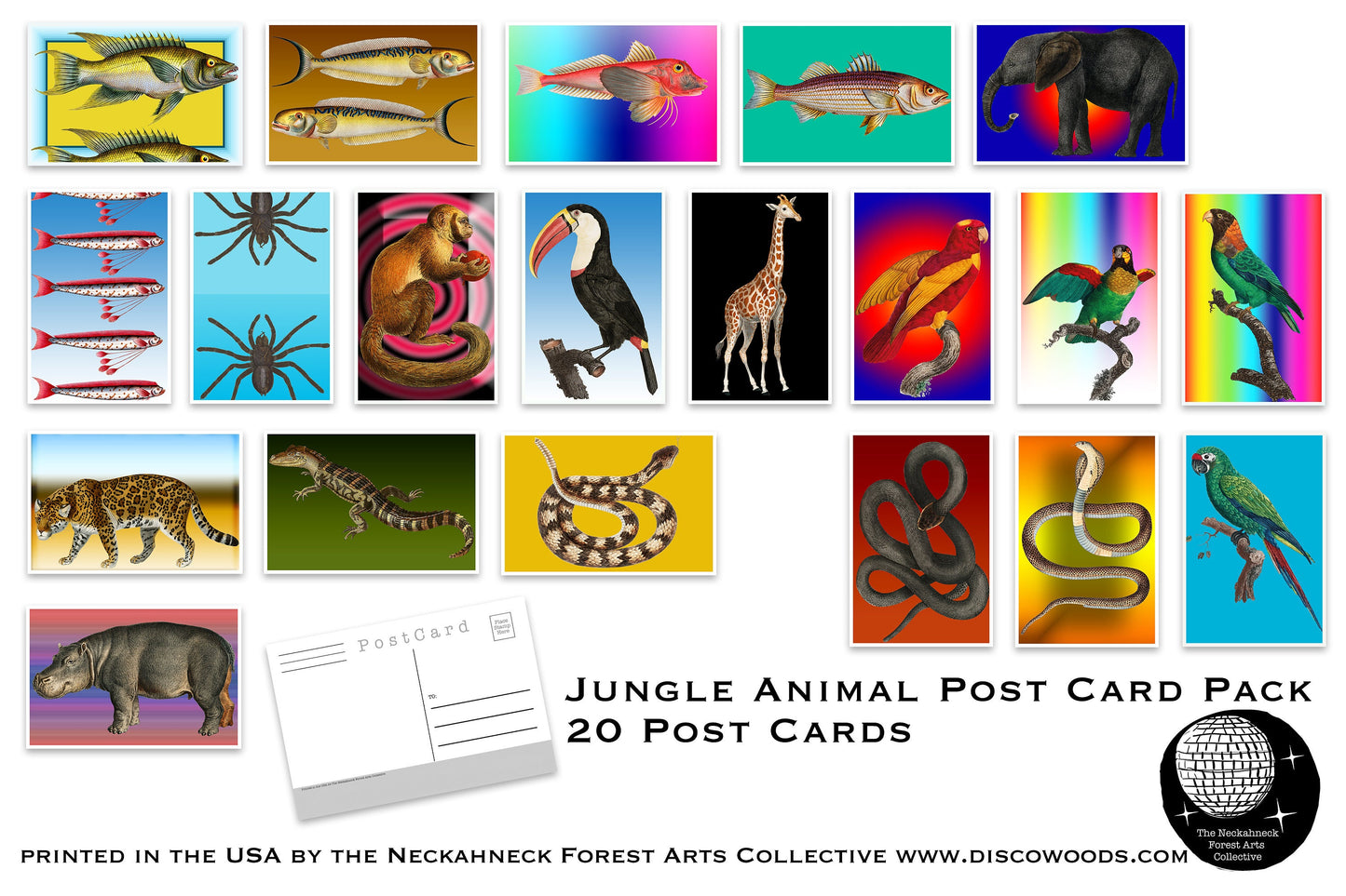 Jungle Animals Postcard Set - Set of 20 Postcards - Safari - Travel - Scrapbooking Post Cards - Adventure - Snakes - Fish - Birds - Exotic