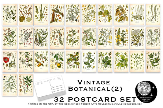 Botanical Postcard Set(2) - Set of 32 Postcards - Vintage - Nature - Scrapbooking Post Cards - plant drawings - Natural Wonders