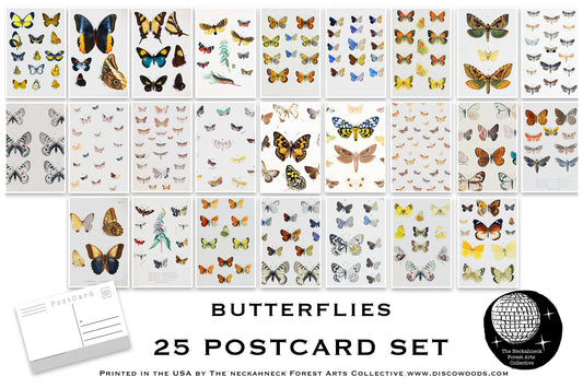 Butterfly Postcards - Set of 25