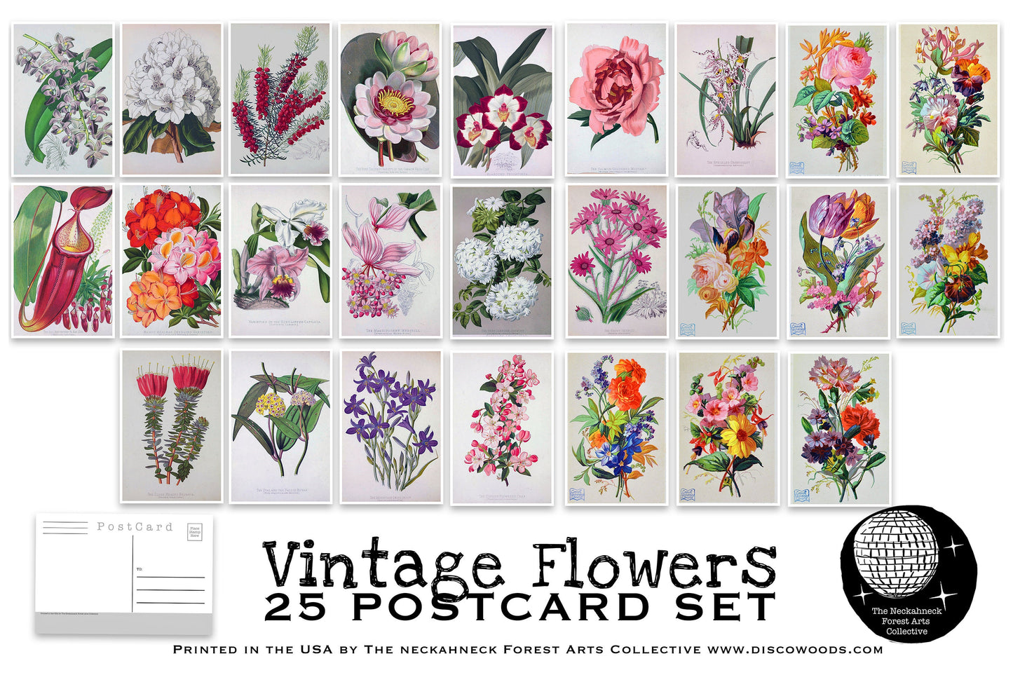 Vintage Flower Postcard Set - Set of 25 Postcards - Floral Illustrations - Nature - Scrapbooking Post Cards - Natural Wonders - botanical