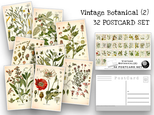 Botanical Postcard Pack(2) - Set of 32