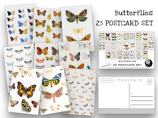 Butterfly Postcard Set - Set of 25 Postcards - Vintage butterfly Illustrations - Nature - Scrapbooking Post Cards - Natural Wonders