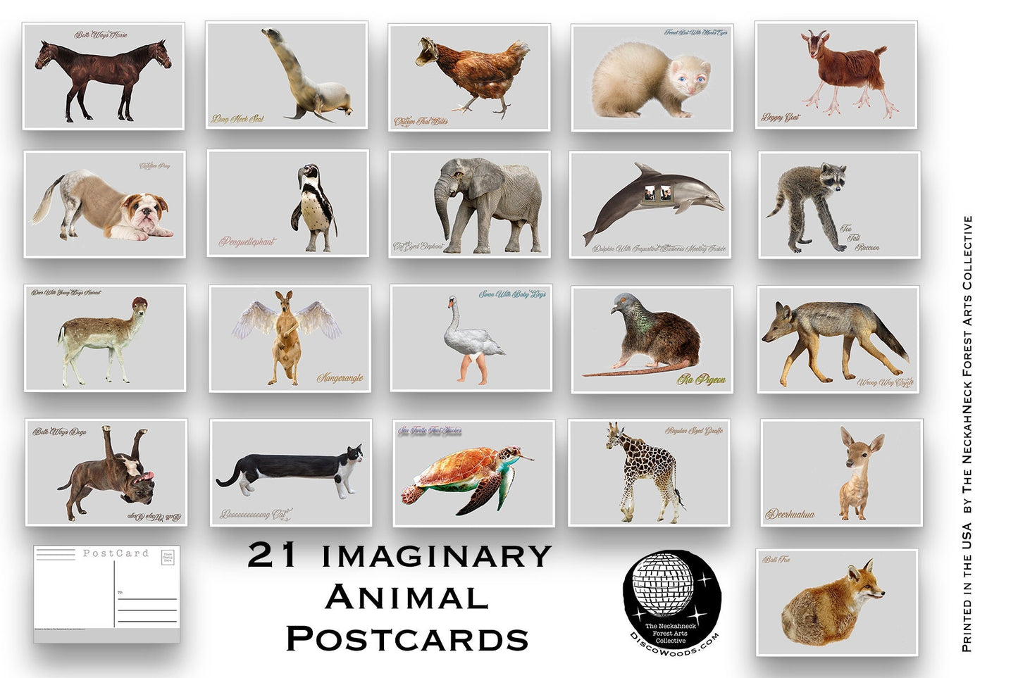 Wrong Animals Postcard Set - Set of 21 Postcards - Imaginary Animals -  Scrapbooking Post Cards - Funny - Fun for kids of all ages