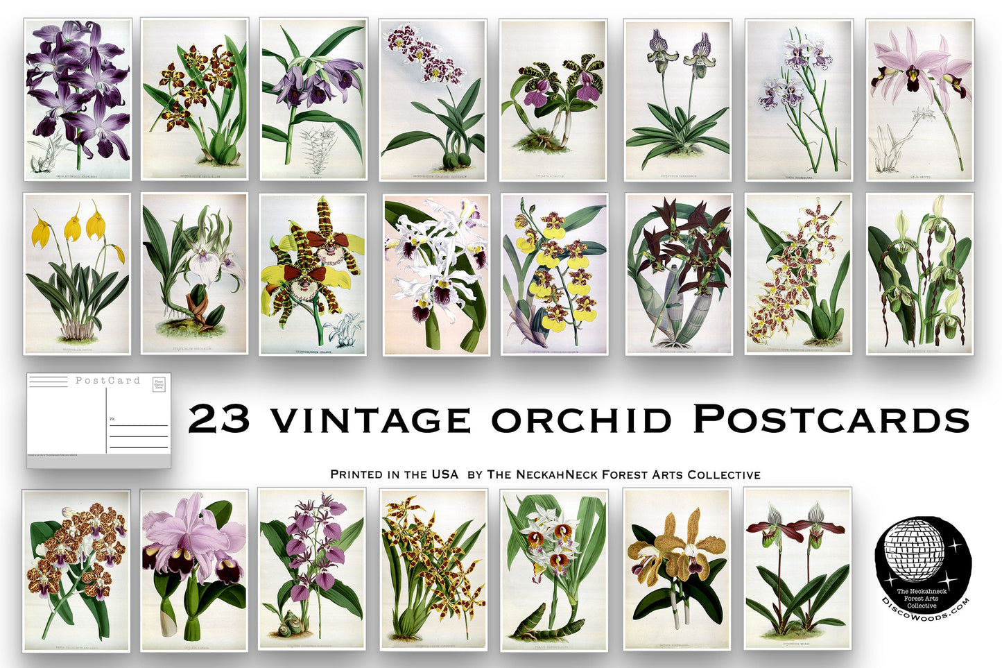 Vintage Orchid NEW Postcard Set - Set of 23 Postcards - Orchid Illustrations - Nature - Scrapbooking Post Cards- Natural Wonders - botanical