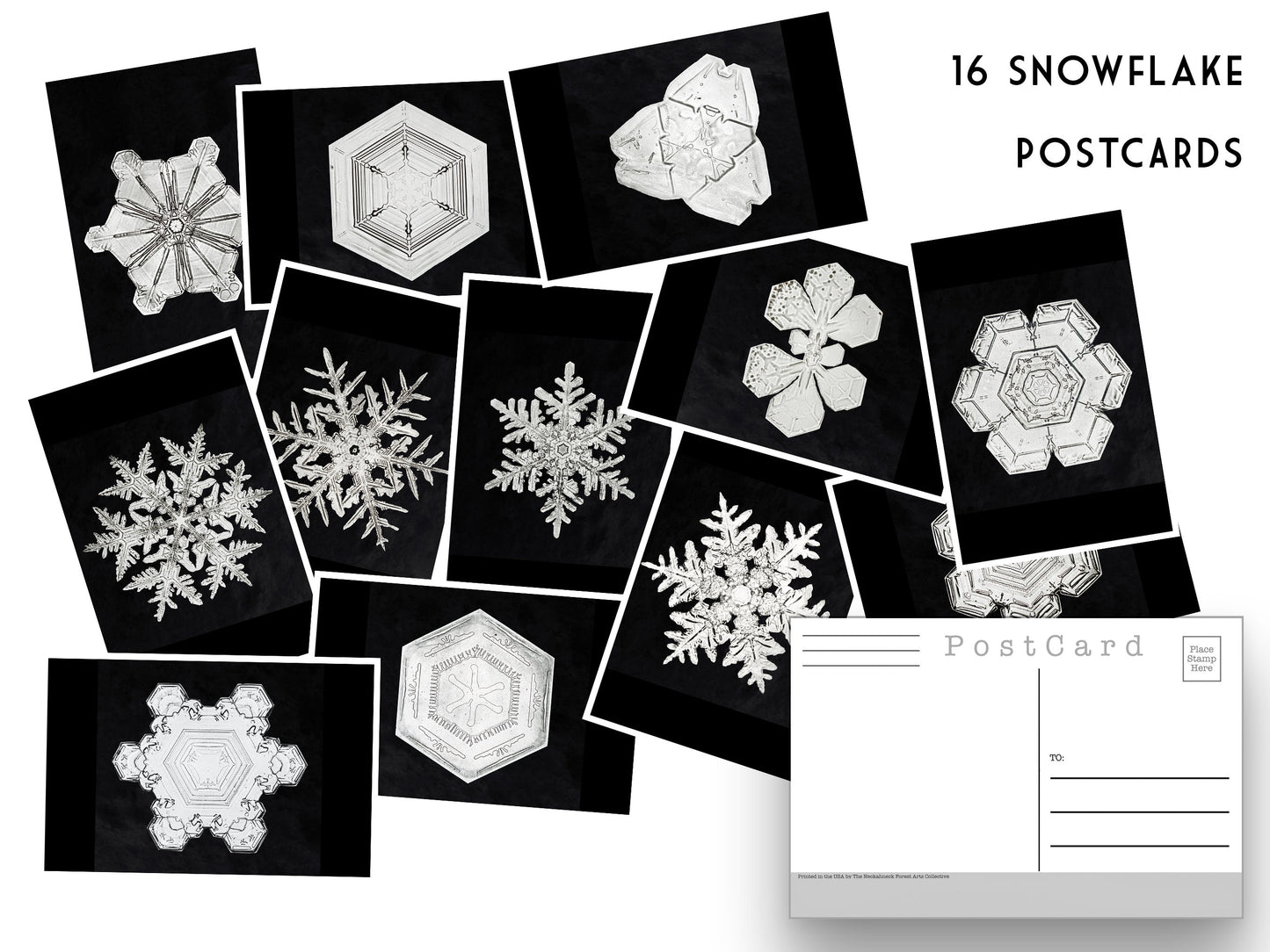 Wilson Bentley Snowflakes - Set of 16 Postcards - Vintage - Nature - Scrapbooking Post Cards great for winter