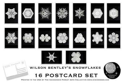 Wilson Bentley Snowflake Postcards - Set of 16