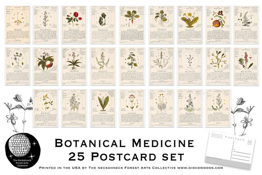 Plant Medicine Postcard Set - Set of 25 Postcards - Vintage - Botanical - Scrapbooking Post Cards - plant drawings - Natural Medicine