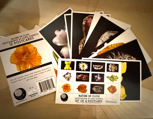 Nature Close Up Postcard Set - Set of 24