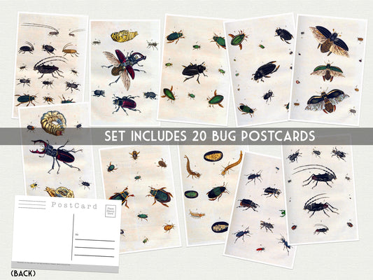 Vintage Bug Postcards – Set of 20