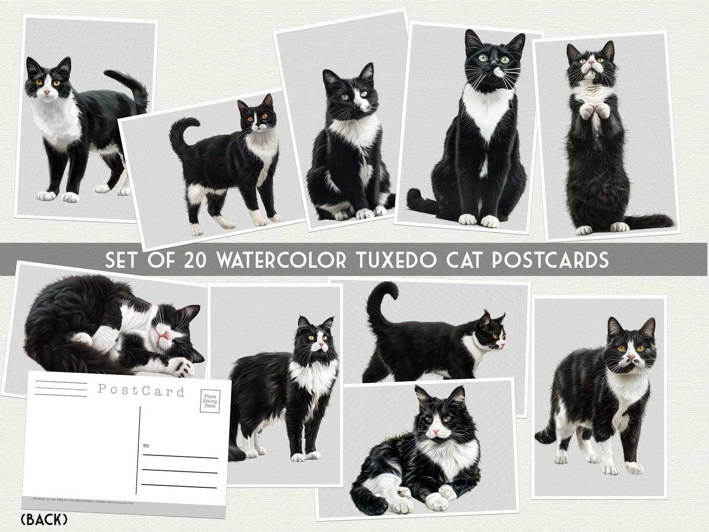 Tuxedo Cat Postcards – 20 Illustrated Cat Art Print Post cards -20 Postcard set - Scrapbooking - Letter Writing