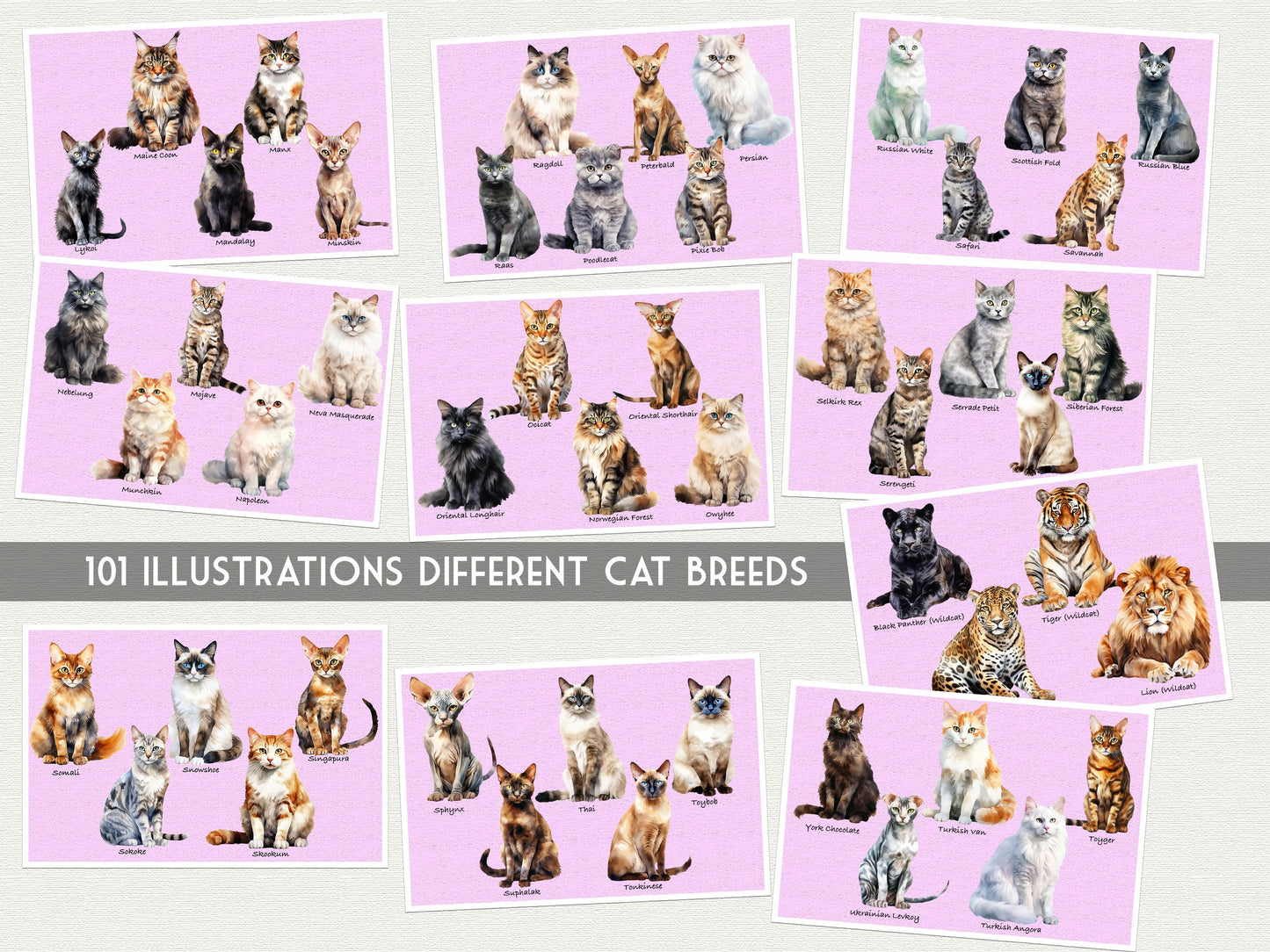 101 Cat Breeds Postcard Set – 20 Illustrated Cat Art Print Postcards -20 Postcard set - Scrapbooking - Letter Writing