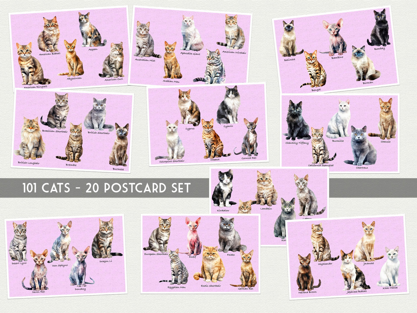 101 Cat Breeds Postcard Set – 20 Illustrated Cat Art Print Postcards -20 Postcard set - Scrapbooking - Letter Writing