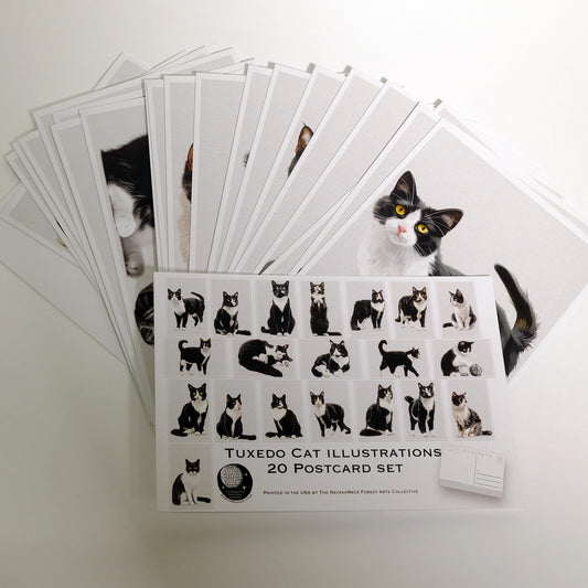 Tuxedo Cat Postcards – 20 Illustrated Cat Art Print Post cards -20 Postcard set - Scrapbooking - Letter Writing