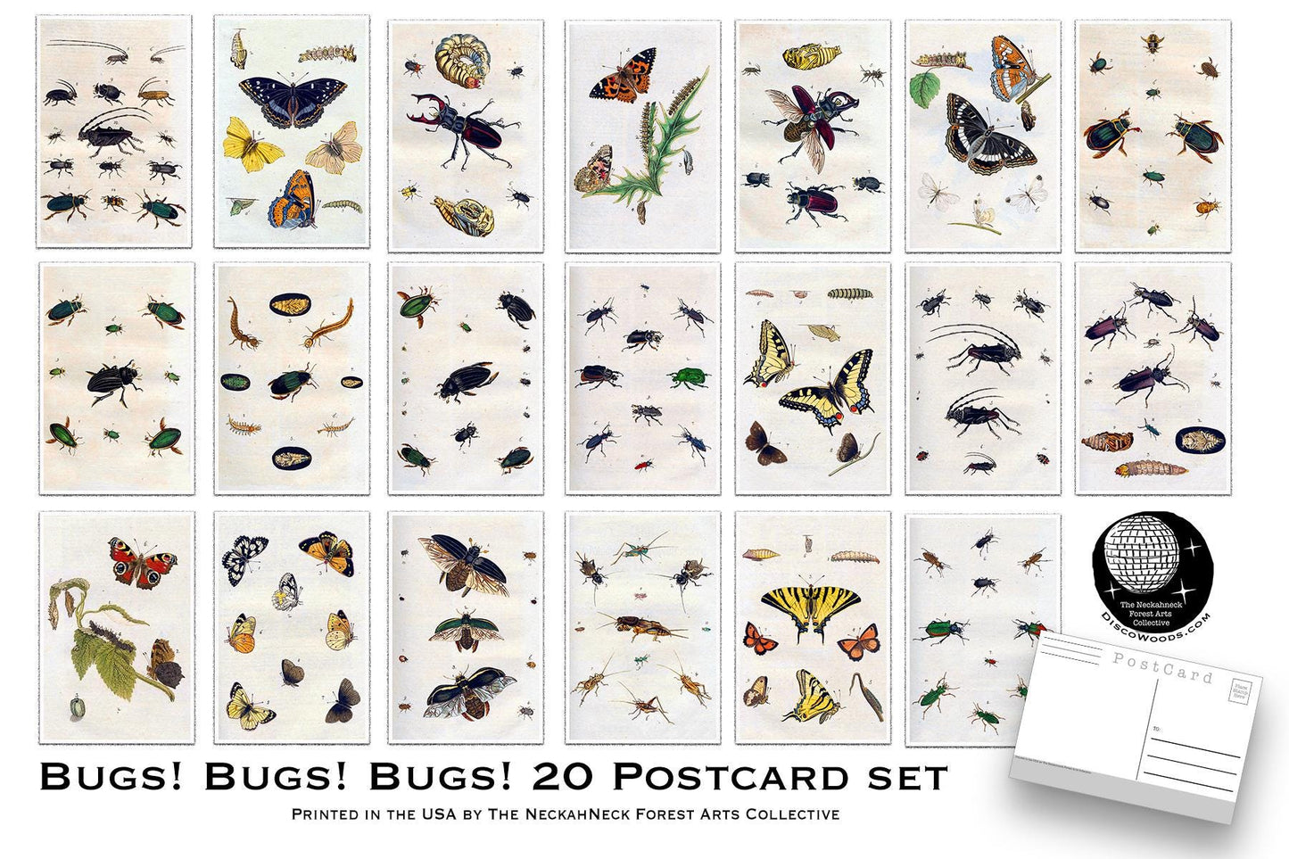 Vintage Bug Postcards – 20-Pack of Butterfly & Beetle Art Prints - Postcards for bug lovers, kids and postcrossing