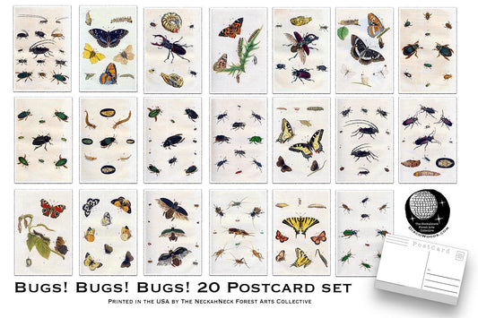 Vintage Bug Postcards – Set of 20