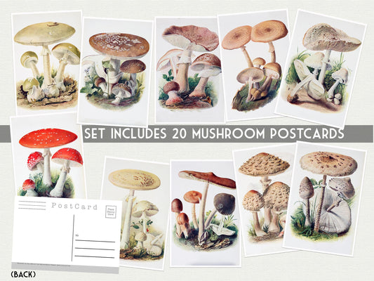 Vintage Mushroom Postcards – Set of 20