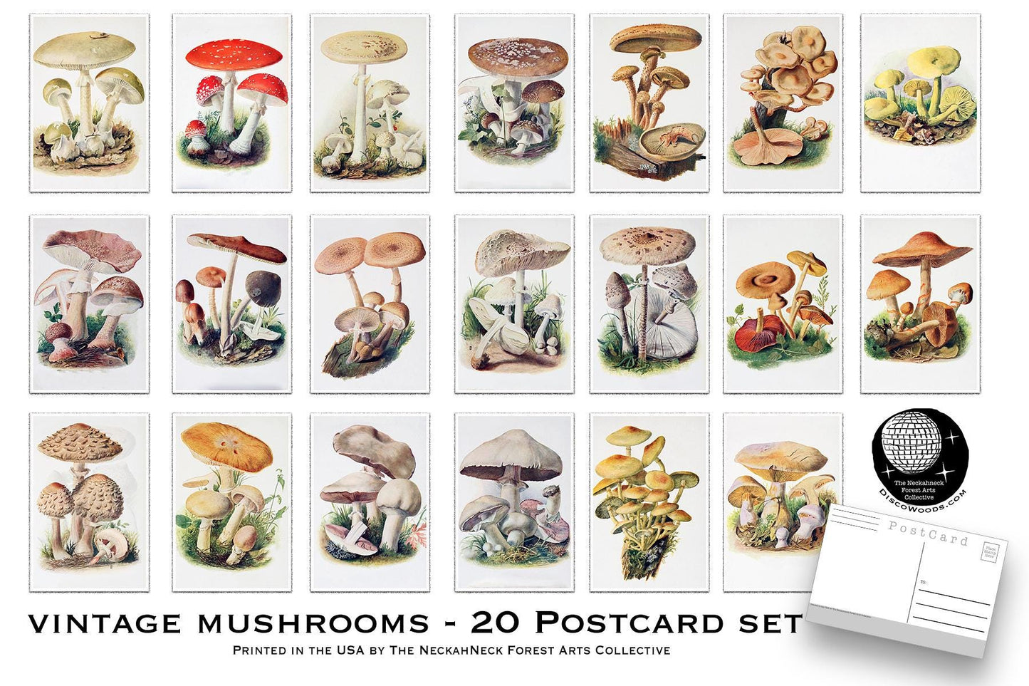 Vintage Mushroom Postcard Set – Set of 20 Postcards - 20 Botanical Art Print Postcards - Vintage Botanical - plant drawings- Natural Wonders