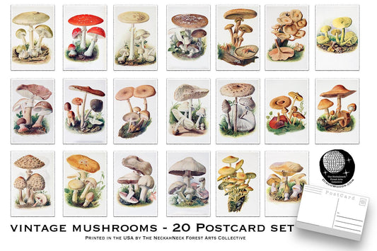 Vintage Mushroom Postcards – Set of 20