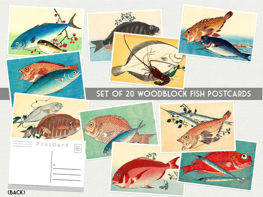 Vintage Japanese Fish Postcards – Set of 20