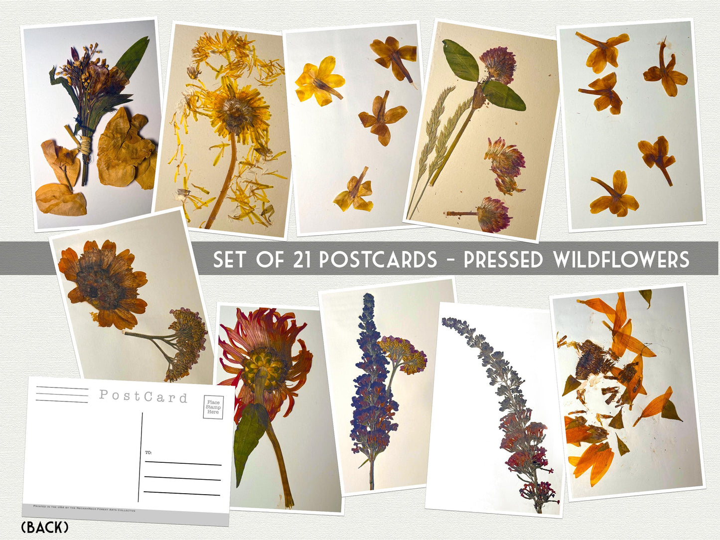 Pressed Wildflower Postcards –Set of 21 Botanical Nature Prints - Vintage Botanical - plant drawings- Natural Wonders