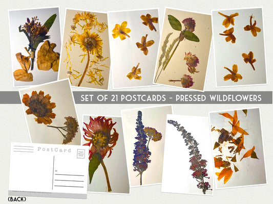 Pressed Wildflower Postcards – Set of 21