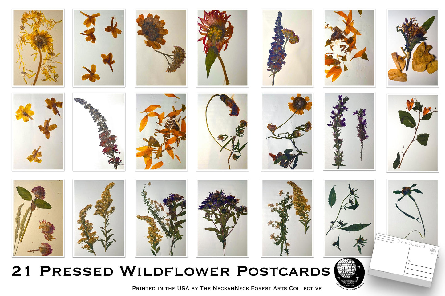 Pressed Wildflower Postcards –Set of 21 Botanical Nature Prints - Vintage Botanical - plant drawings- Natural Wonders