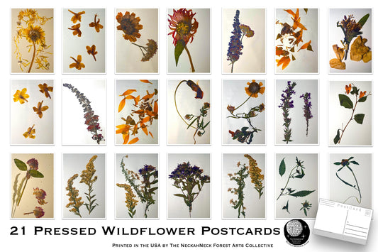 Pressed Wildflower Postcards – Set of 21