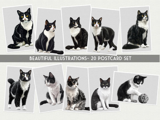 Tuxedo Cat Postcards – Set of 20