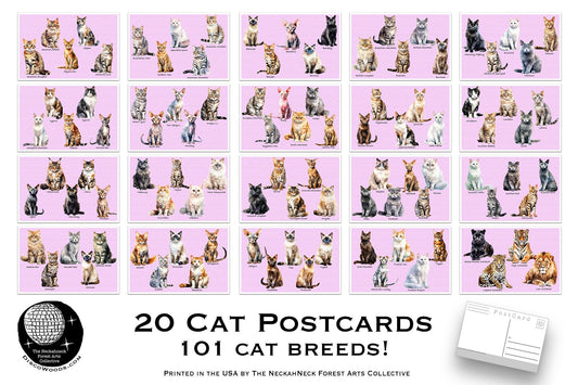 101 Cat Breeds Postcards – Set of 20