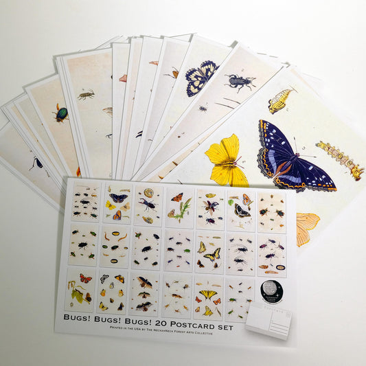 Vintage Bug Postcards – 20-Pack of Butterfly & Beetle Art Prints - Postcards for bug lovers, kids and postcrossing