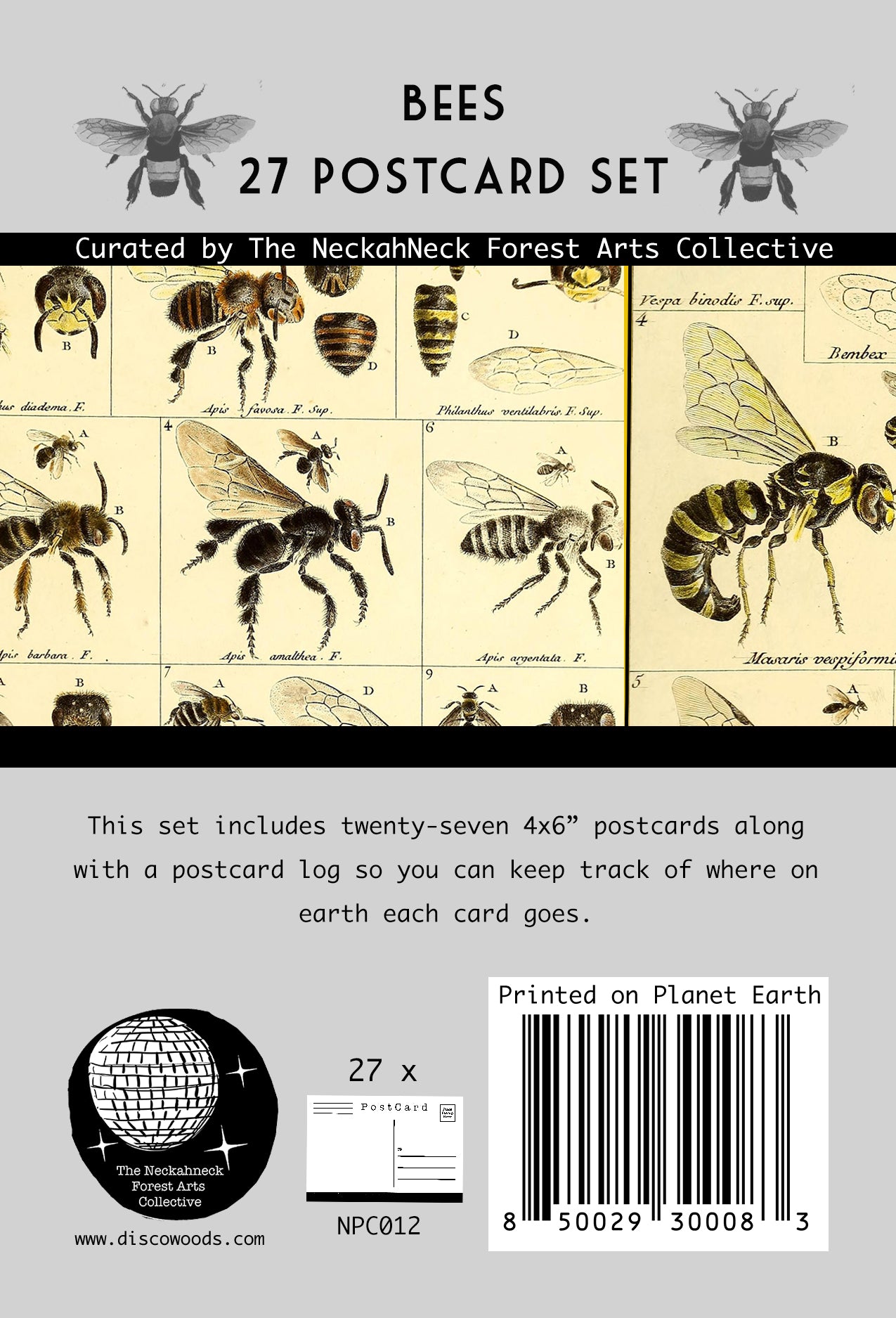 Bees Postcards - Set of 27