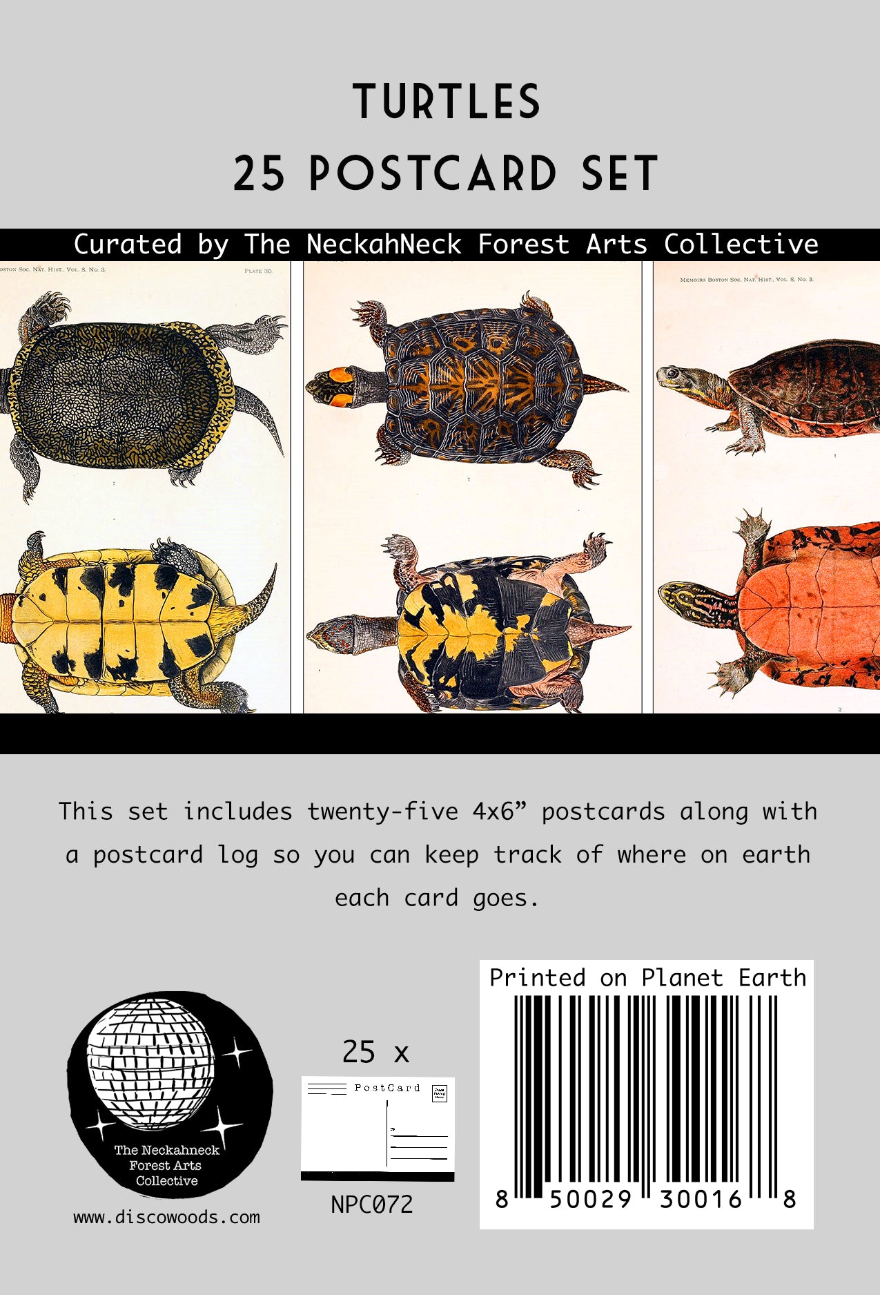 Turtle Illustrations Postcards- Set of 25