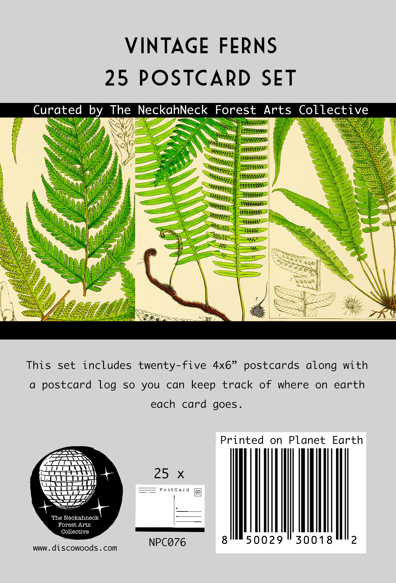 Vintage Ferns Postcards - Set of 25